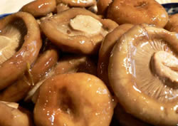 Соление грибов