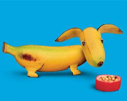 Поделки из фруктов: собачка из банана