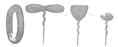 Изготовление плотной сердцевины искусственного цветка