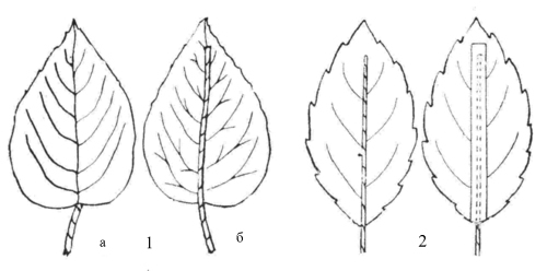    : 1 -  , 2 -    