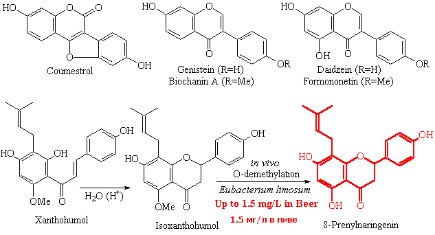 фитоэстрогены в пиве (генестин,биочанин,даидзеин, формононтеин)