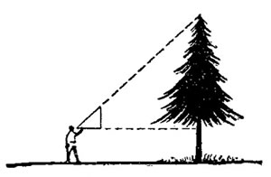 Определение высоты предметов при помощи равнобедренного треугольника