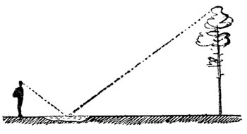 Определение высоты предметов при помощи лужи