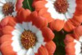 Изготовление искусственных цветов: цинерария